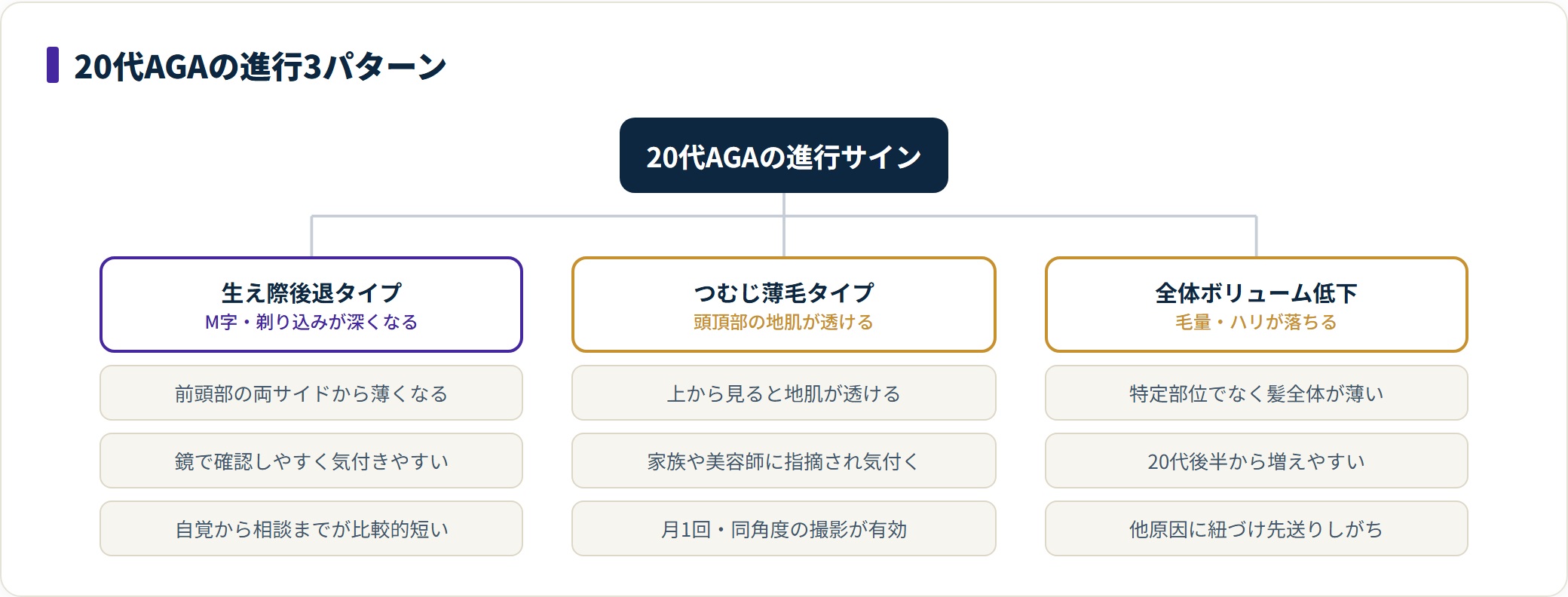 20代AGAの進行サインを生え際後退・つむじ薄毛・全体ボリューム低下の3タイプに分類した図。