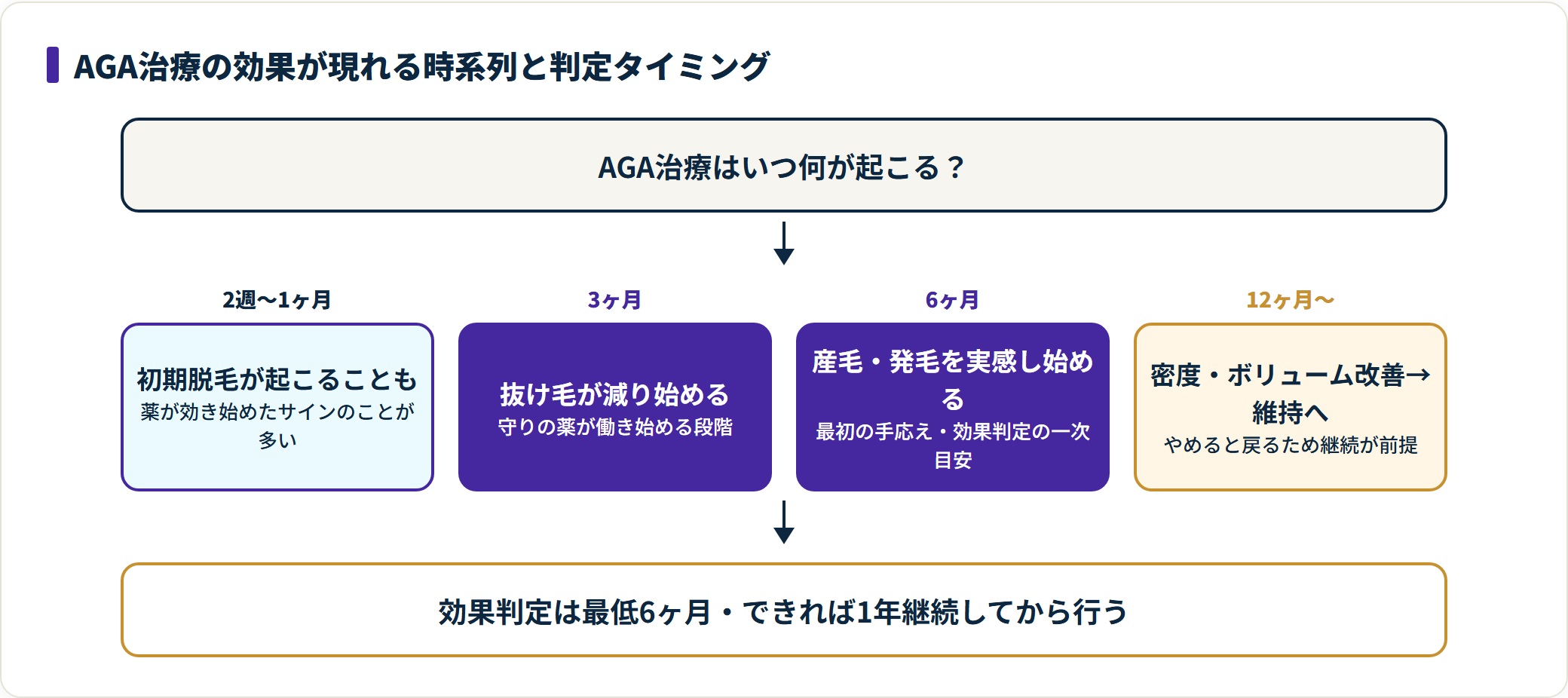 AGA治療開始から12ヶ月までの効果の現れ方と判定タイミングを時期ごとに示した経過フロー。