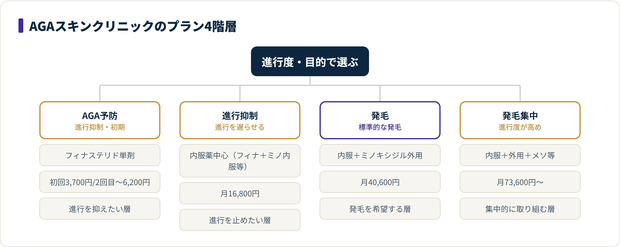 AGAスキンクリニックのプランを予防・進行抑制・発毛・発毛集中の4階層に整理した分類図。