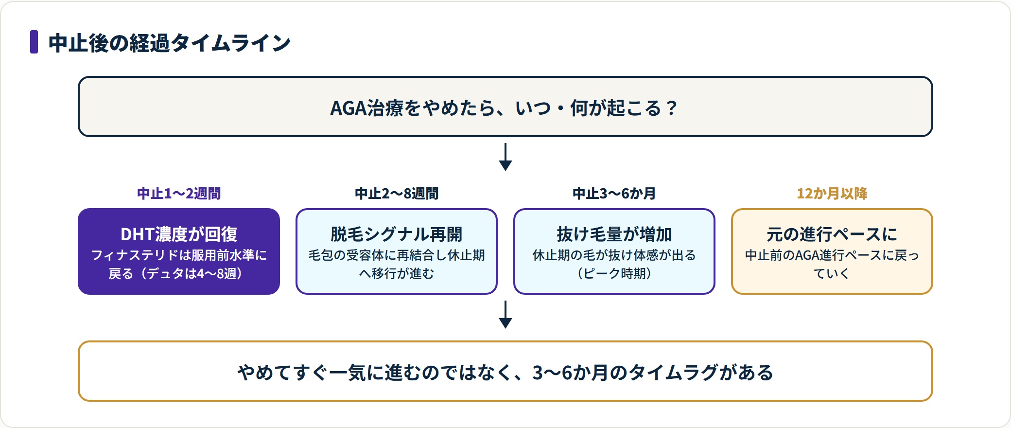 AGA治療中止後の経過をDHT回復から抜け毛増加まで時間軸で示したタイムラインの図。