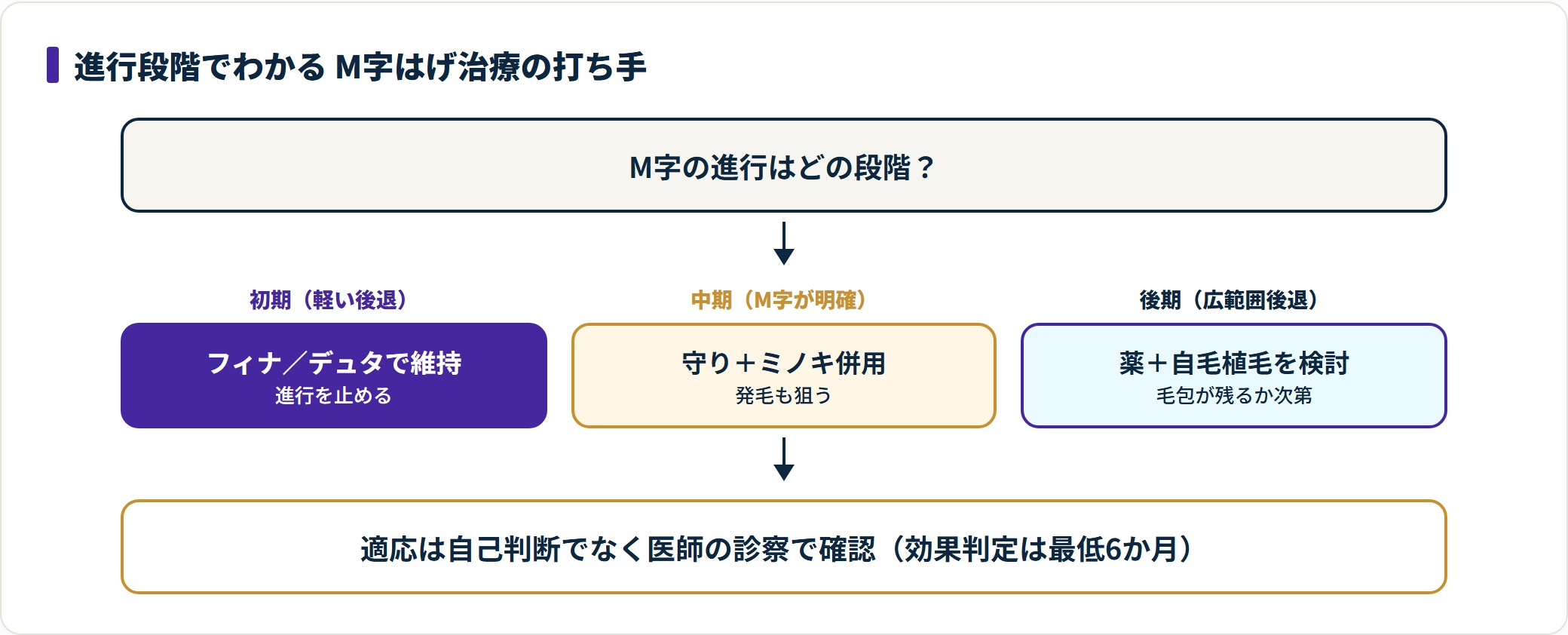 M字はげは初期はフィナ・デュタで維持、中期は守りにミノキを併用、後期は自毛植毛も検討する。