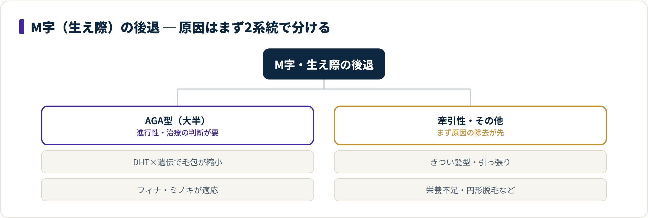 M字・生え際の後退はAGA型が大半で治療薬が適応となる一方、牽引性脱毛症などその他は原因の除去が先になる。