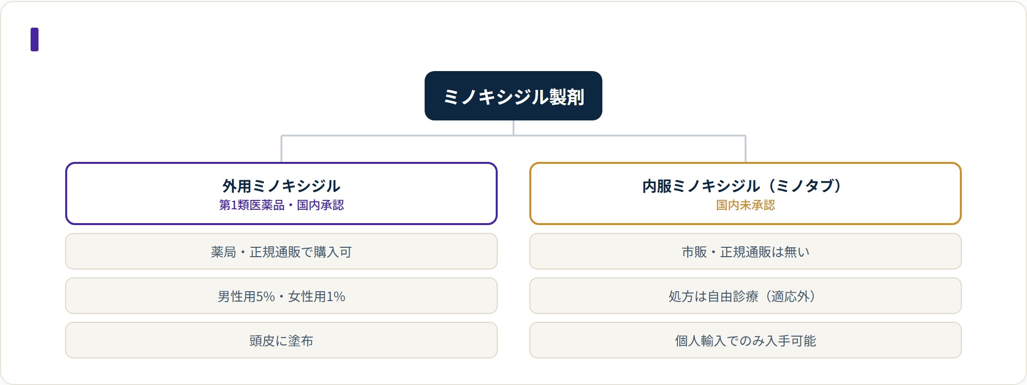 個人輸入は本人使用に限れば認められるが、他人への販売・譲渡は禁じられ、不利益はすべて自己責任になる。