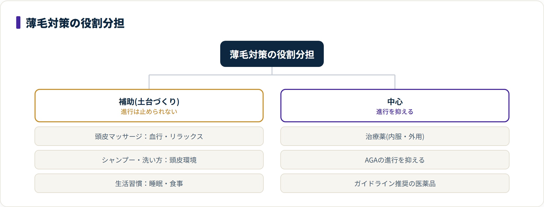 薄毛対策を補助(マッサージ・シャンプー・生活習慣)と中心(治療薬)に整理したツリー図。