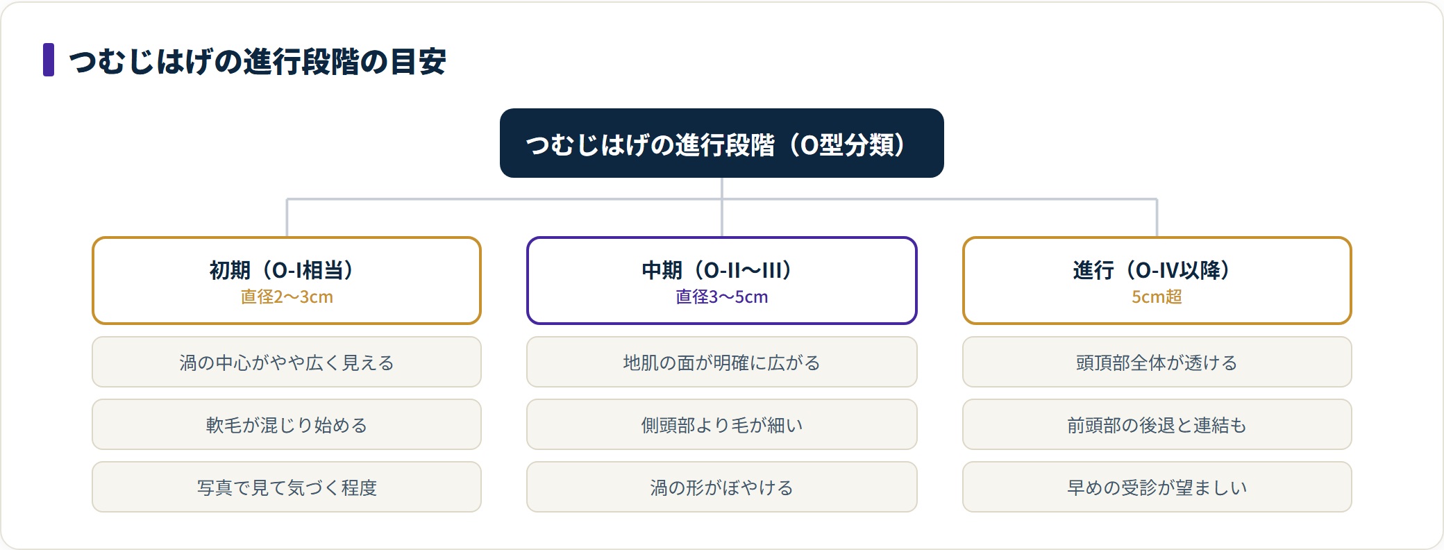 つむじはげを初期(直径2〜3cm)・中期(3〜5cm)・進行(5cm超)の3段階に分けた進行段階の分類図。