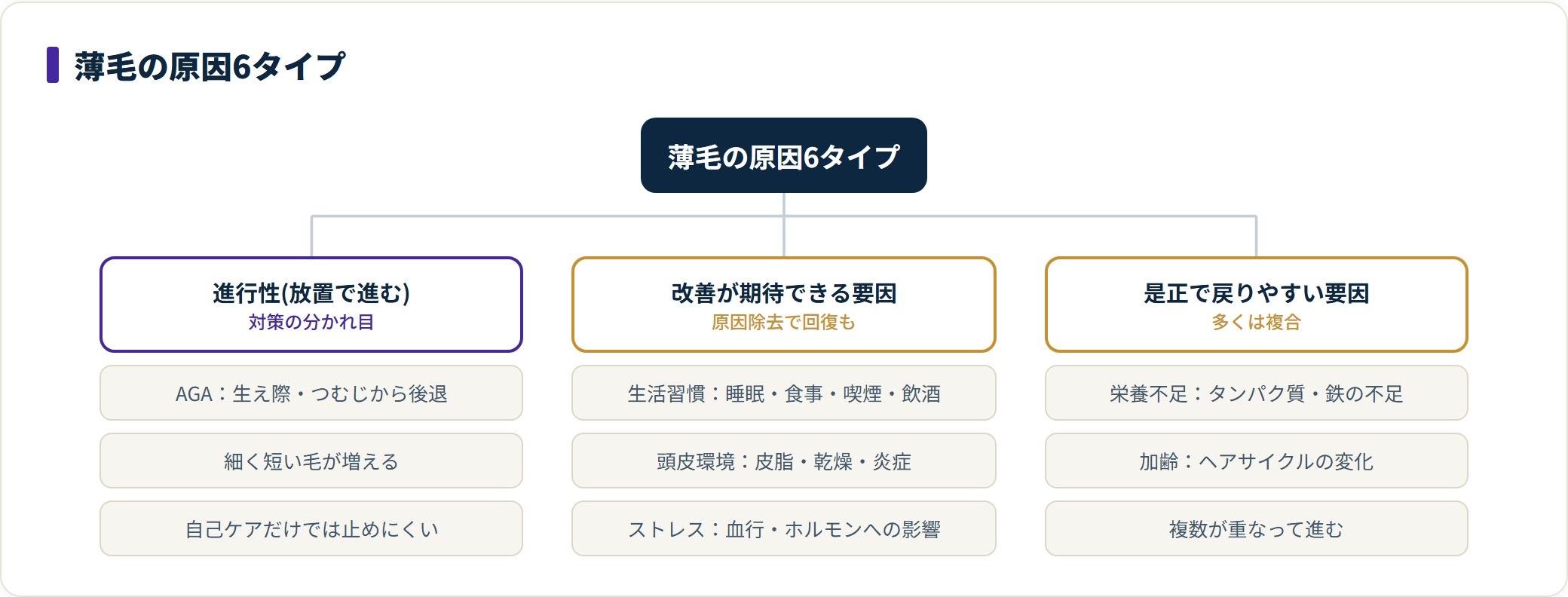 薄毛の原因を進行性AGAと生活習慣・頭皮・ストレス・栄養・加齢に整理したツリー図。
