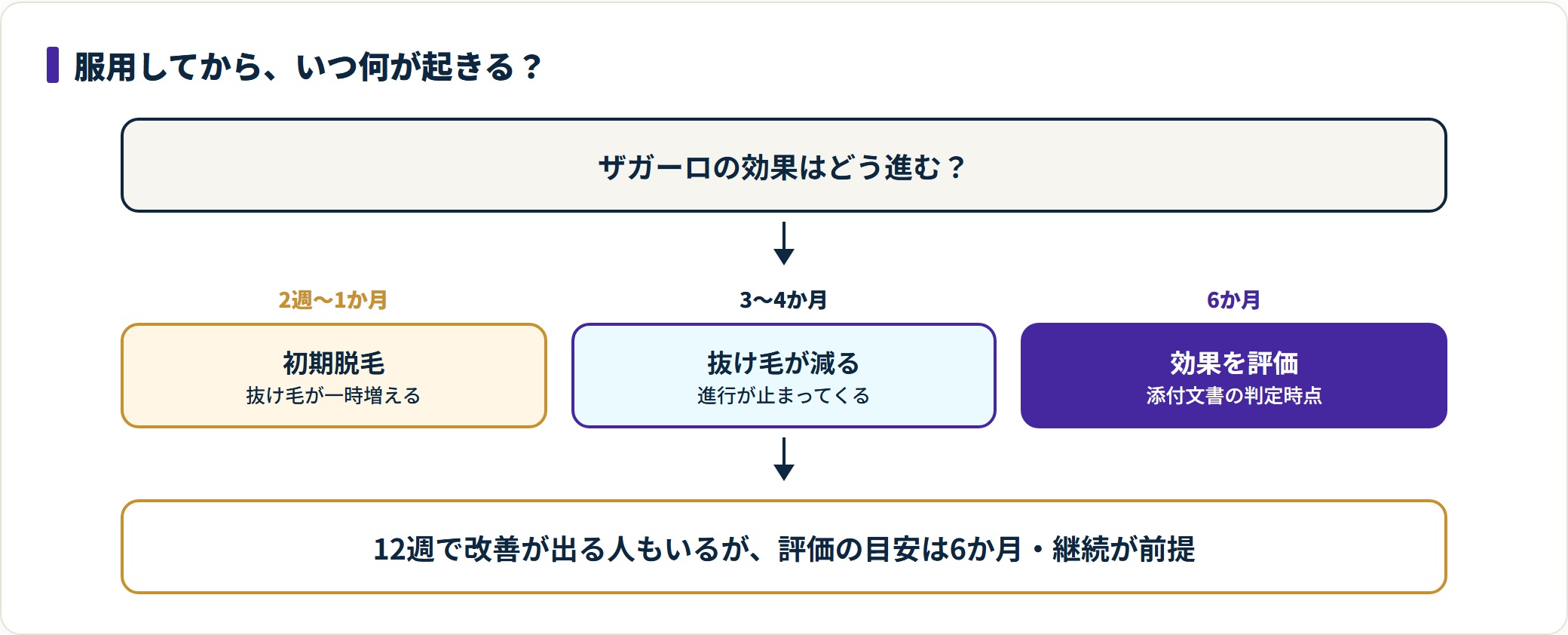 図:ザガーロの効果は初期脱毛→抜け毛減少→6か月で評価という時間差で進む